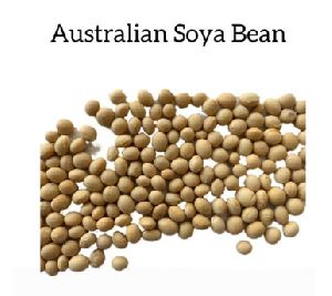 Australian Soya bean