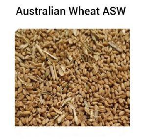 Australian Wheat ASW