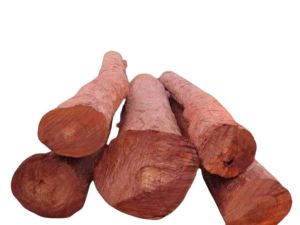 Natural Red Sandalwood Logs