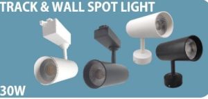 30 Watt Track & Wall LED Spot Light