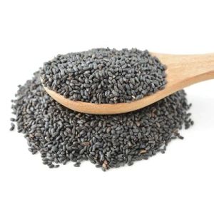 Basil Seeds