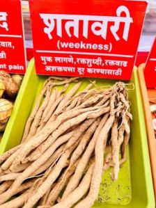 Organic Shatavari Roots
