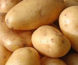 Yellow A Grade Chipsona Potato