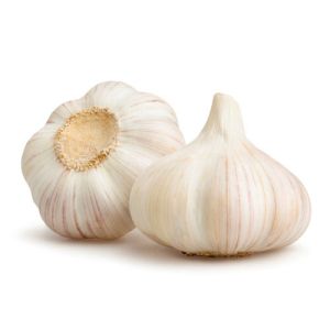 fresh garlic