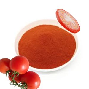 Pure Dried tomato powder