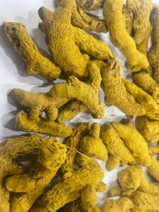 turmeric finger