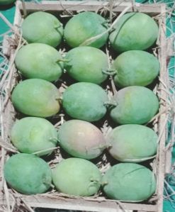 Natural Alphanso Mango-Pulp, State Of Origin : Maharashtra