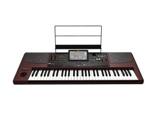 Korg PA1000 61-Key Pro Arranger Keyboard