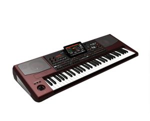 New Korg PA1000 61-Key Pro Arranger Keyboard