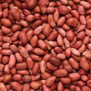 Groundnut Seeds