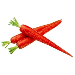 Fresh Red Carrot