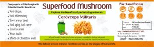 cordyceps militaris mushroom