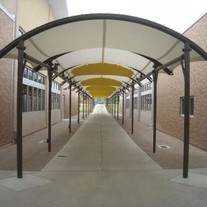 Polyester Canopy