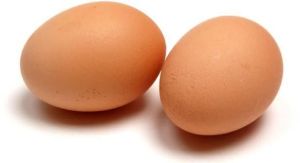 brown eggs