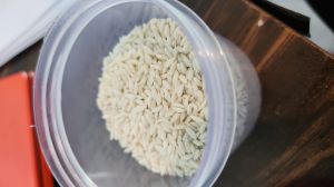 Fortified Rice Kernels