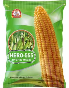 Hero-555 Hybrid Maize Seeds
