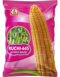 Ruchi-445 Hybrid Maize Seeds