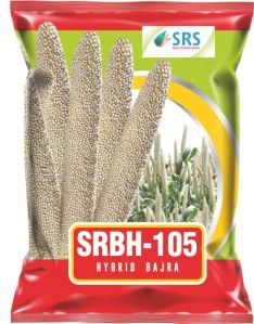 SRBH-105 Hybrid Bajra Seeds