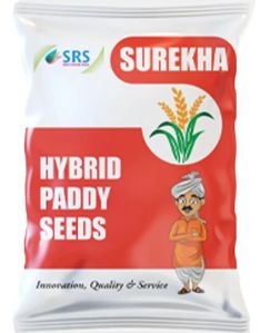 Surekha Hybrid Paddy Seeds