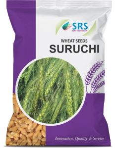 Suruchi Wheat Seeds