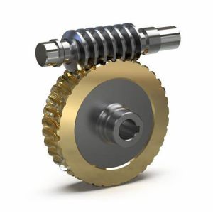 Worm Gear Assembly