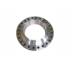 Stainless Steel Butt Weld Flanges
