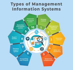 Management Information System Services