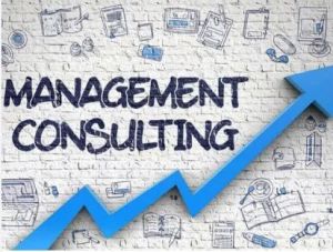 Management Consultancy Services