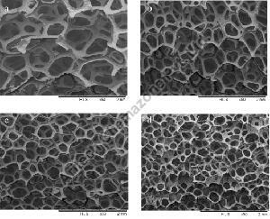 RVC Carbon Foam