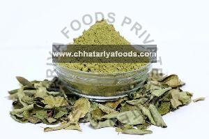 curry leaves powder