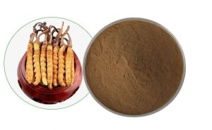 Cordyceps Sinensis Extracts