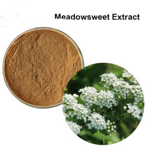 Meadowsweet Extract