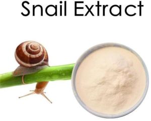 Snail Mucin Extract
