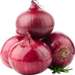 organic onion