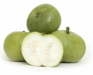 Fresh Apple Gourd