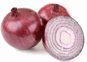 fresh onion