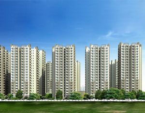 Builders & Developers Builders & Developers