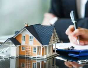 Property Loan Consultant