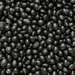 Black Urad