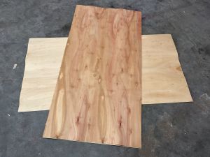 Eucalyptus Core Veneer