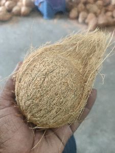 COCONUTS