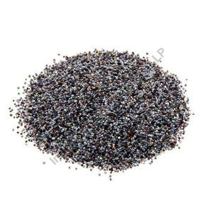 Black Poppy Seeds