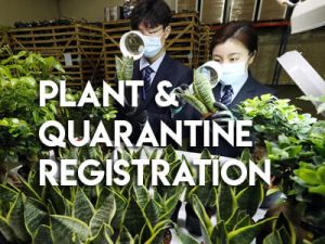 Plant Quarantine Registration Services