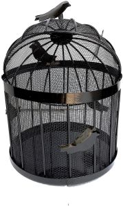 Bird Cage Fruit Basket