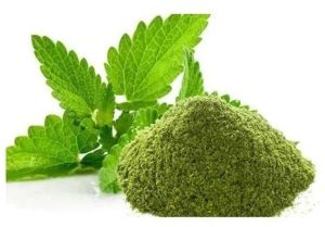 Herbal Mint Powder