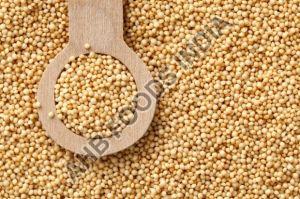 Amaranth Millet Seeds