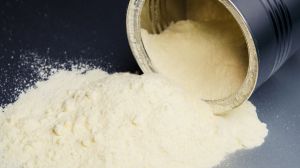 Skimmed Milk Powder