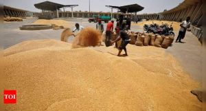 Wheat Grain Dust