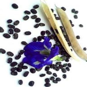 butterfly pea seeds