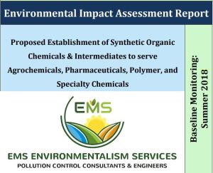 environment consulting services